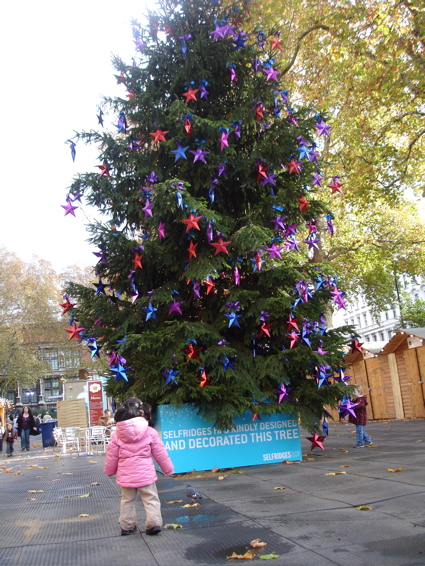 11 Nov 11.jpg
